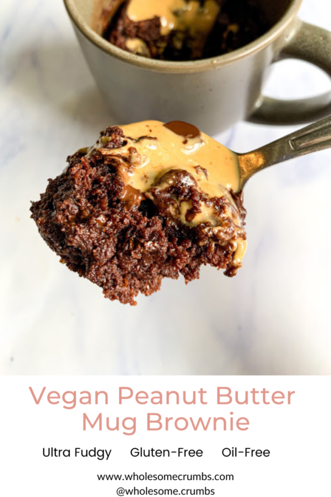 Vegan Mug Brownie Recipe